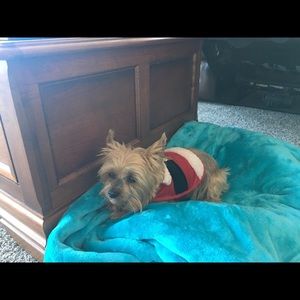 Meet your Posher, Tammy